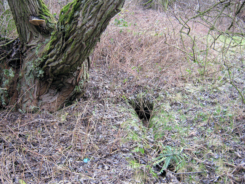 studánka bez jména (2476) - prosinec 2009