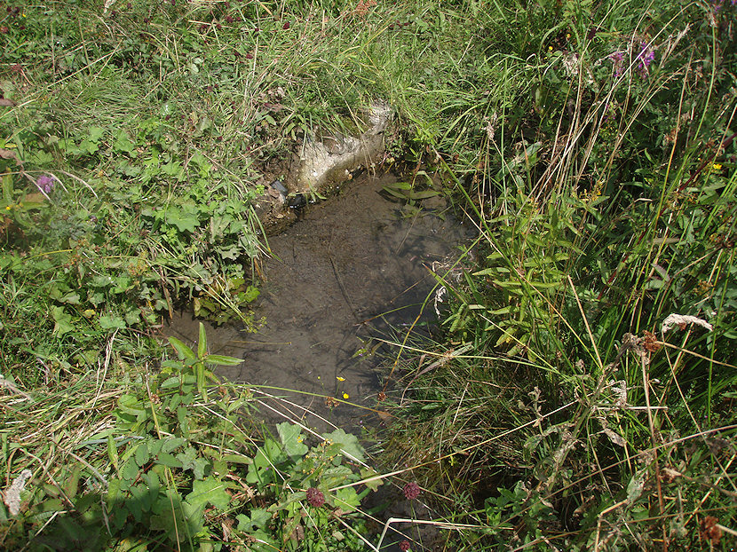 pramen Luční studánka (2488) - prosinec 2009