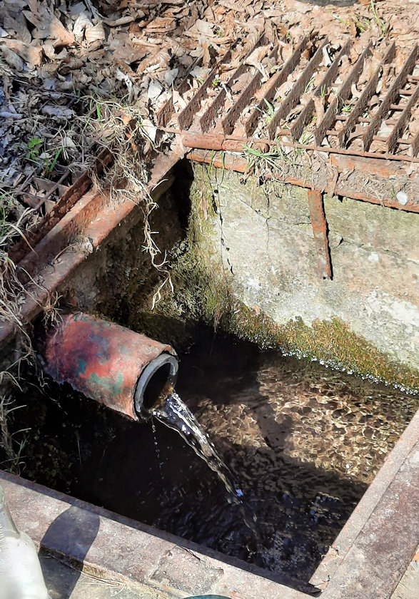 studánka U plotu (2499) - březen 2022