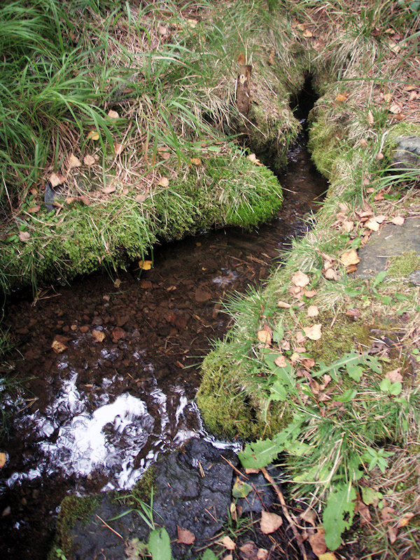 Suťový pramen (2507) - prosinec 2009