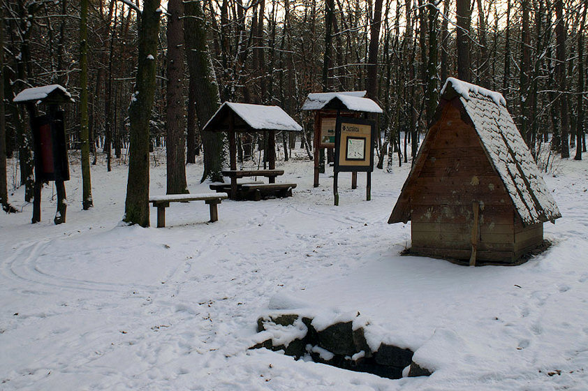 pramen Dobrá voda (2516) - prosinec 2009