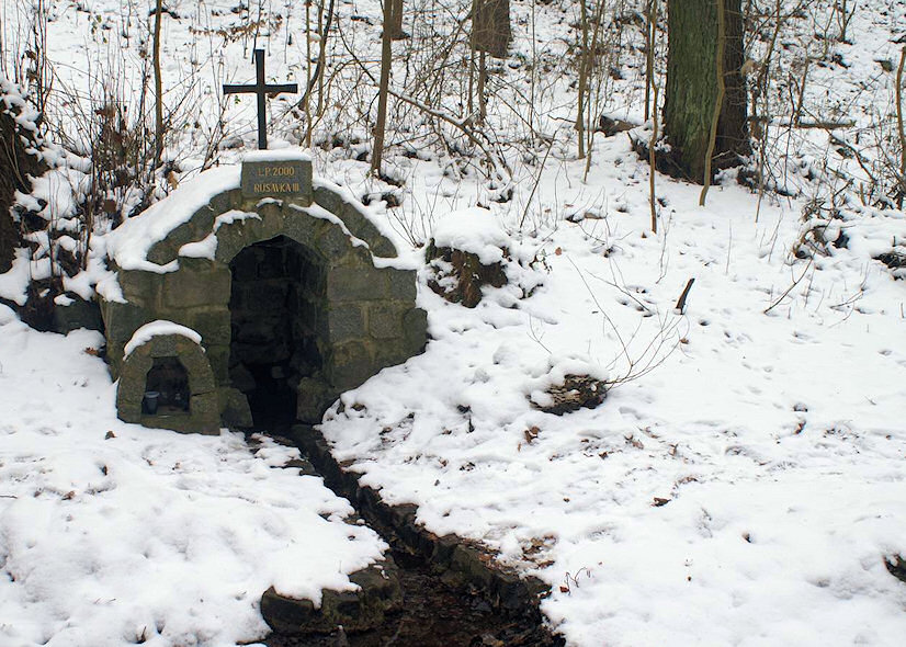 studánka Rusavka III (2535) - leden 2010
