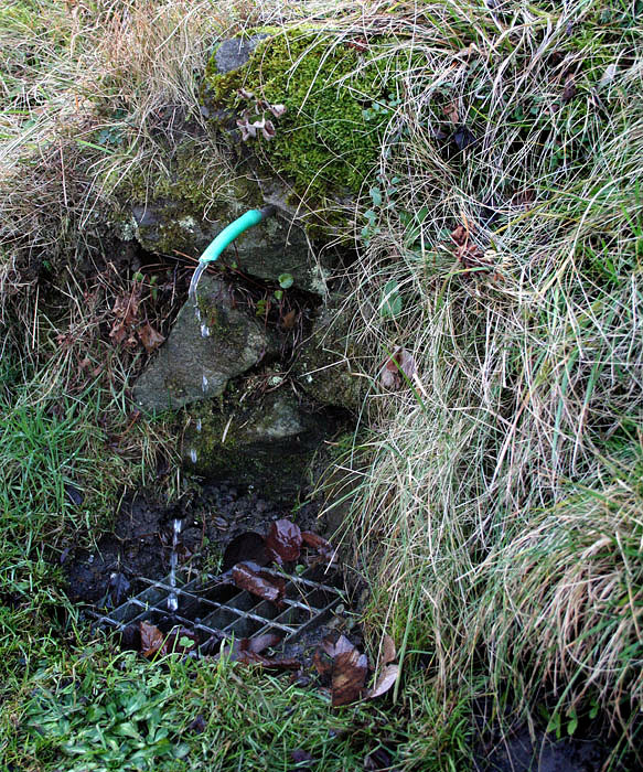 jiný vodní zdroj Občasný (2539) - leden 2010
