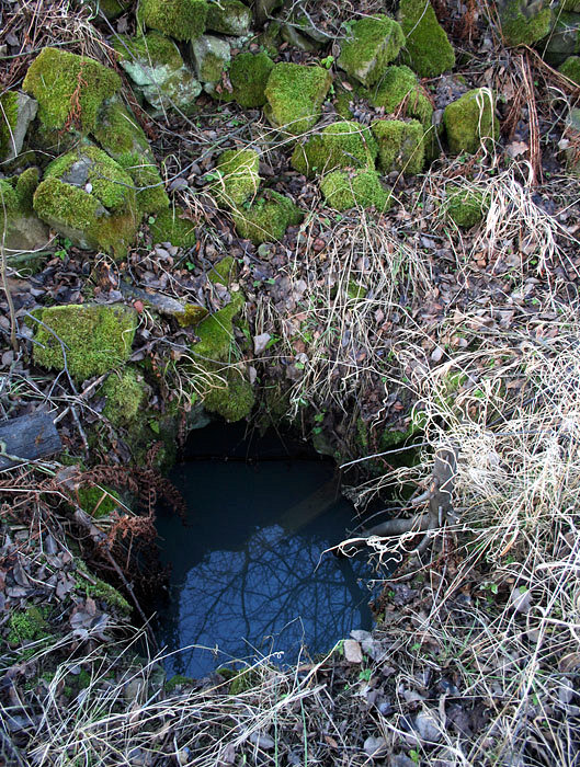 studánka V Hloží (2541) - leden 2010