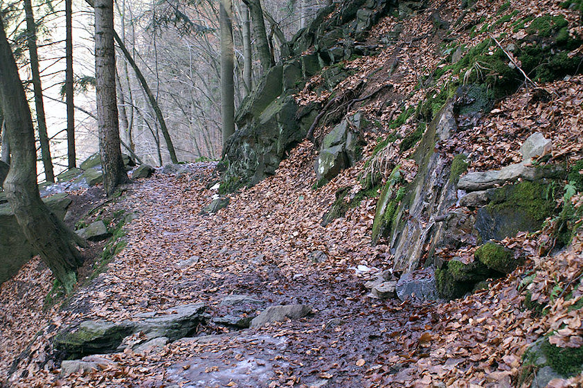 pramen Hvězdiččina studánka (2548) - leden 2010