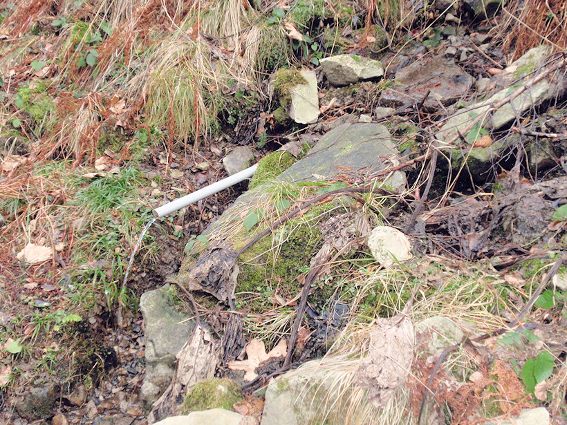 studánka Smrčina (2550) - leden 2010