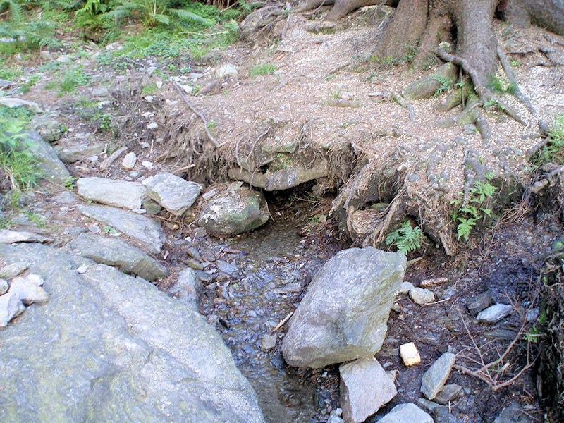 Granátová studánka (2554) - leden 2010