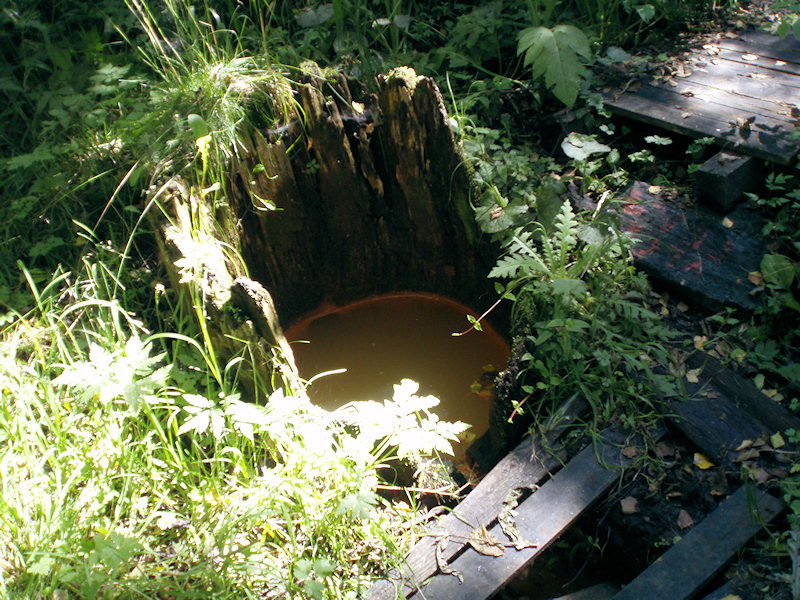 studánka Vlčí pramen 2 (2560) - leden 2010