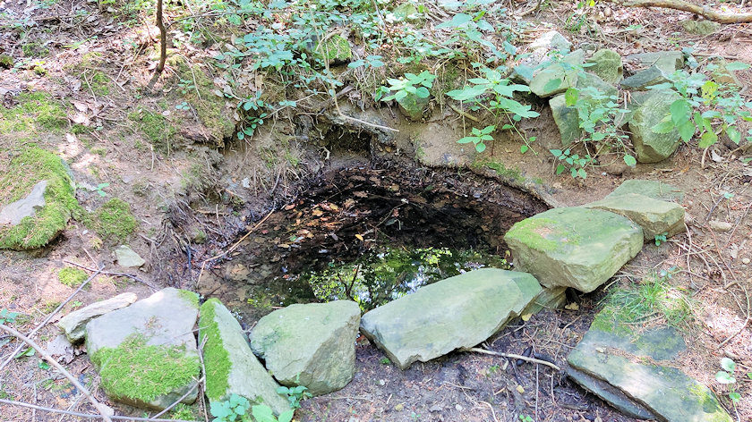 studánka bez jména (2564) - srpen 2022