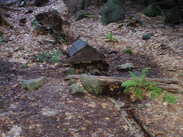 studánka Hřebenový buk (2571) - leden 2010