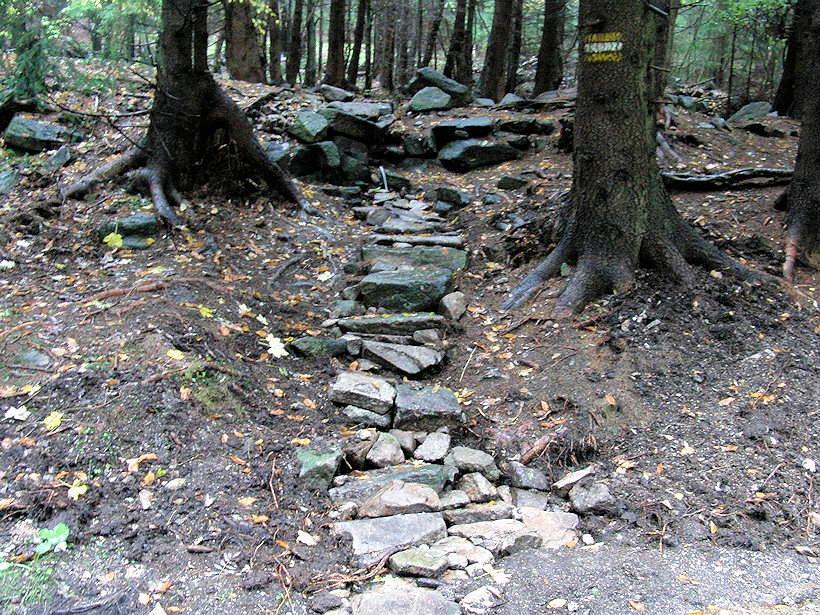 studánka U lesní školky (2578) - datum neznámé