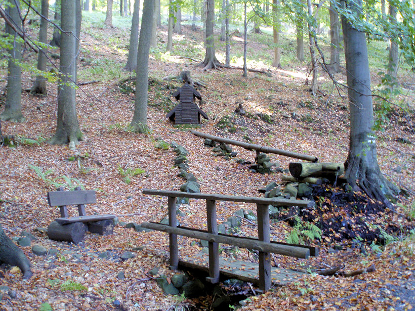 studánka bez jména (2581) - leden 2010