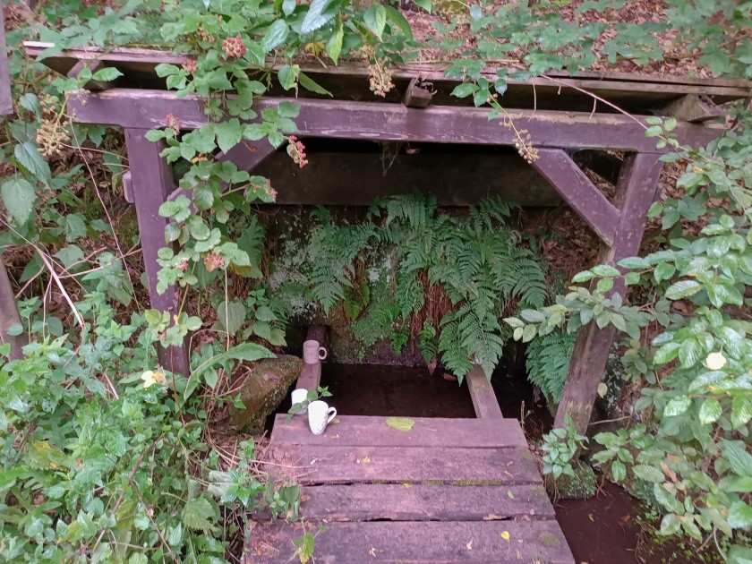 Planodolská studánka (2583) - srpen 2023