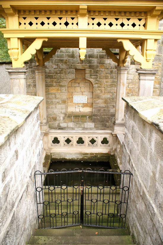 Boženina studánka (2593) - leden 2010