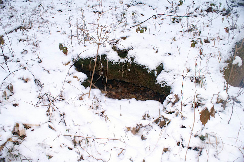 Lesní studánka u Třebichovic (2606) - leden 2010