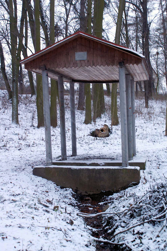 Jindřichův pramen (2610) - leden 2010