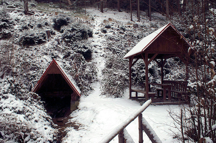 pramen Hrádecký důl (2618) - leden 2010
