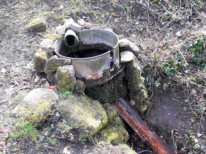 pramen Krásná Studánka (2619) - březen 2021