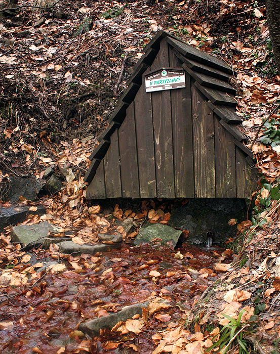 studánka U Partyzánky (2620) - leden 2010