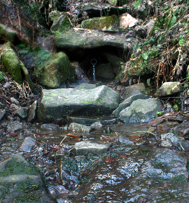 studánka Dudlavá (2621) - leden 2010