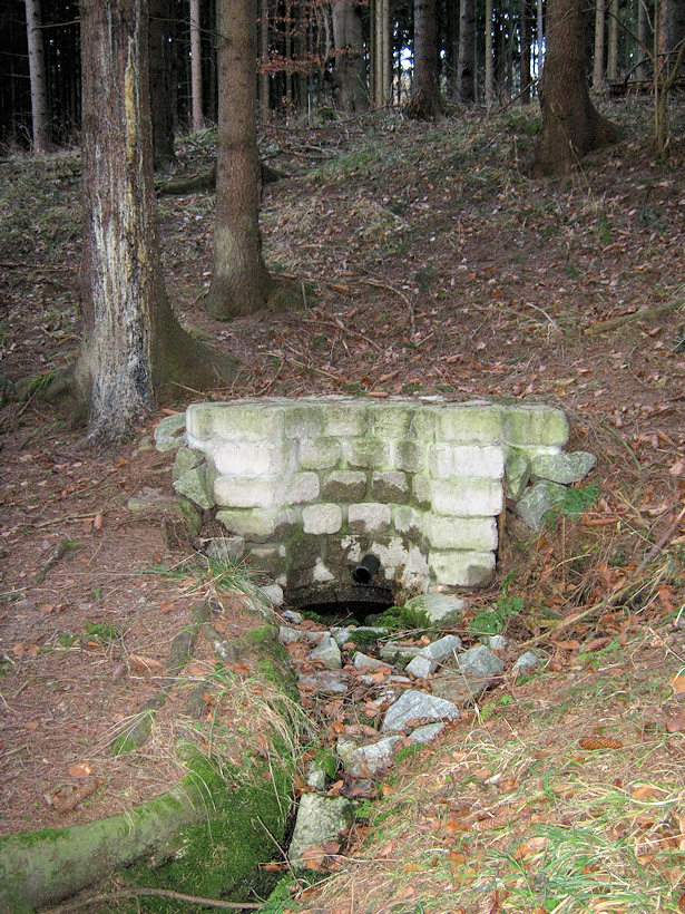 studánka Rozchůdky (2627) - leden 2010