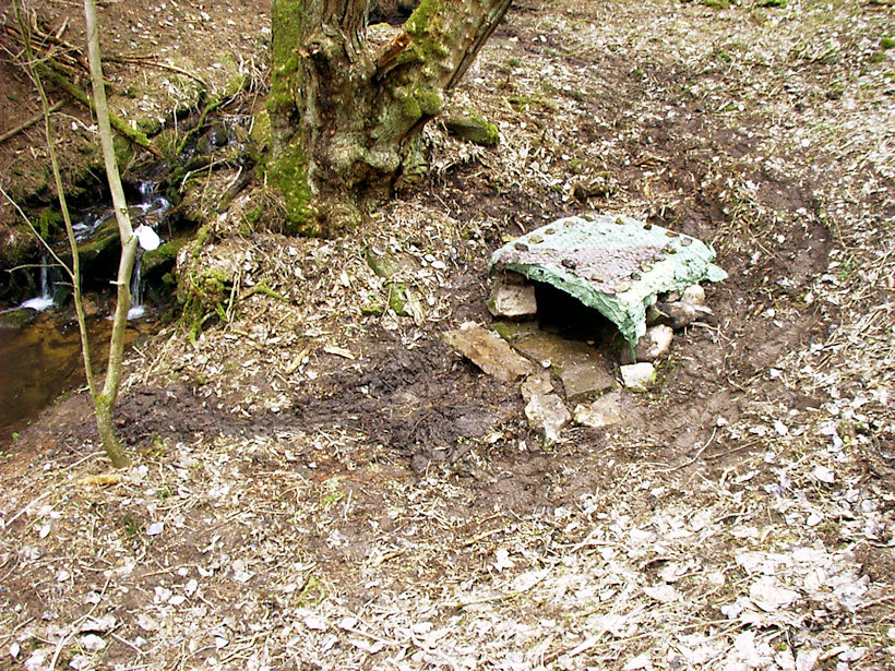 Samova studánka (2628) - leden 2010
