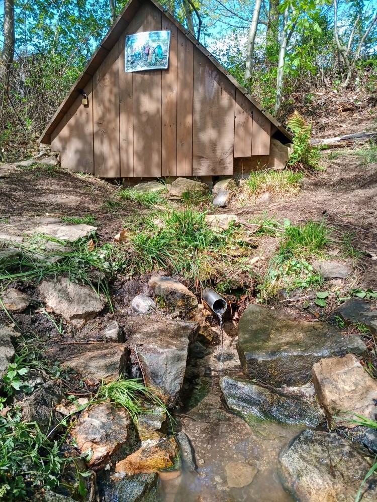 studánka bez jména (2631) - květen 2024