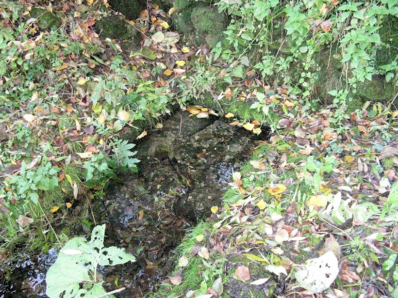 Zrzánova studánka (2638) - leden 2010