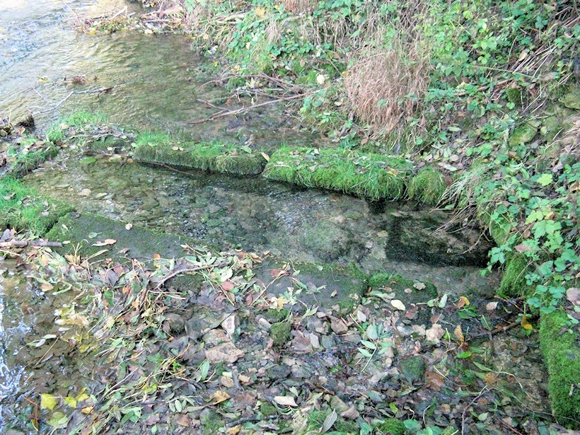 studánka Bublavka (2641) - leden 2010
