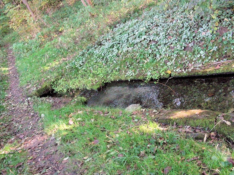Šilerova studánka (2643) - leden 2010
