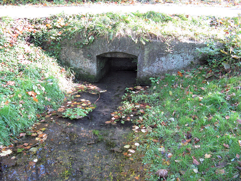 Lázničkova studánka (2647) - leden 2010