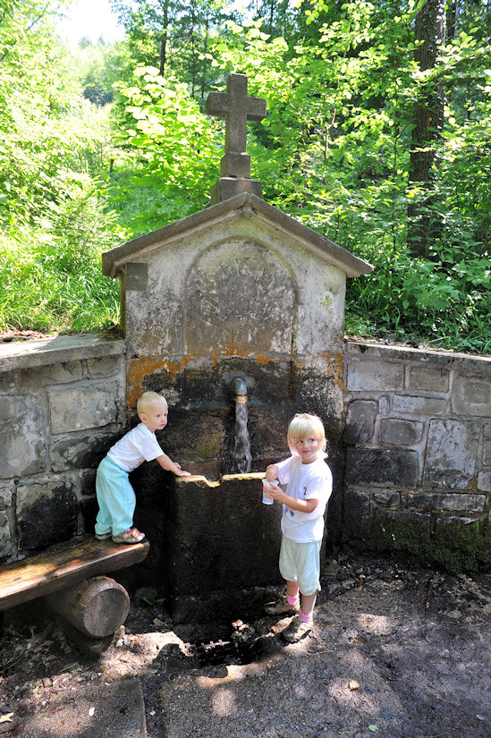 studánka Fons Theodori (2664) - leden 2010