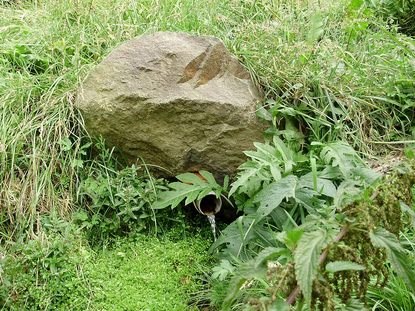 studánka Srnčí (2709) - únor 2010