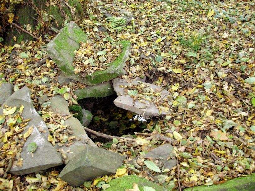 studna Dělnická (2712) - únor 2010