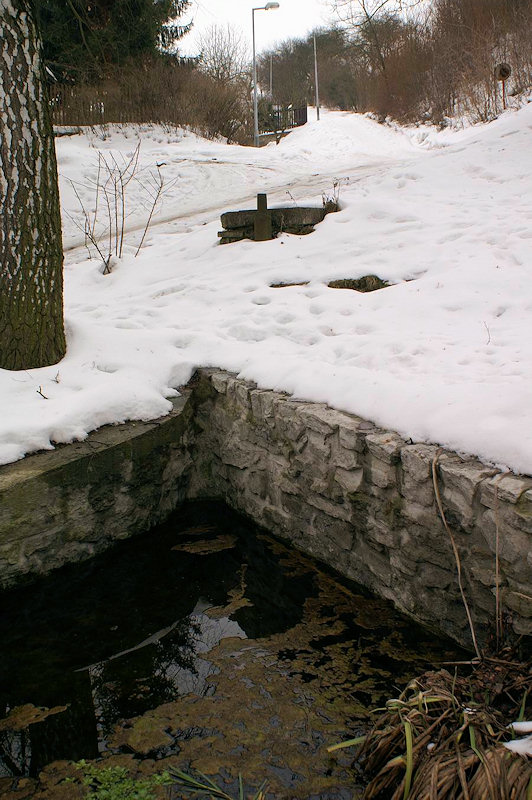 pramen Nad rybníkem (2729) - únor 2010