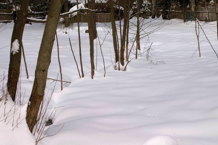 studánka U Kučerů (2732) - únor 2010