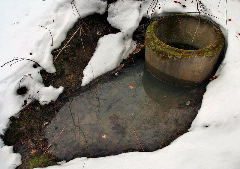 jiný vodní zdroj Nad Skřípovem (2741) - únor 2010