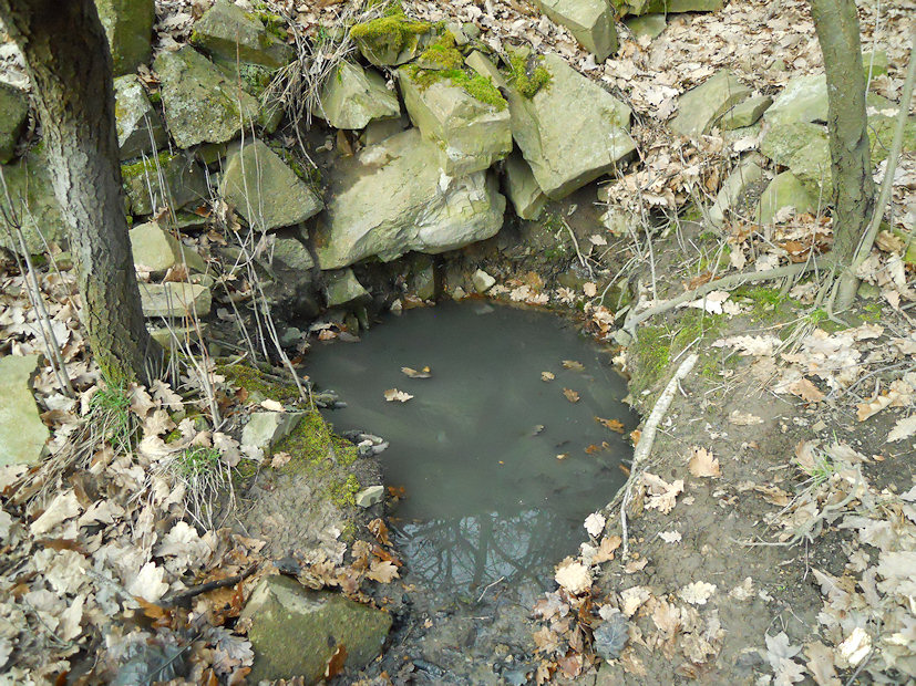 Studánka v doubravě (2749) - březen 2010