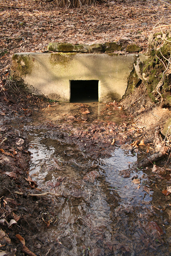 Kalábova studánka (2751) - březen 2010