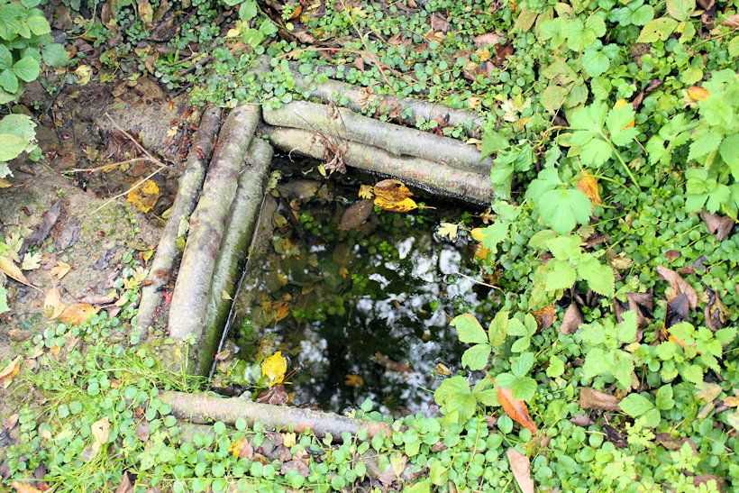 studánka Na Čubernici (2752) - datum neznámé