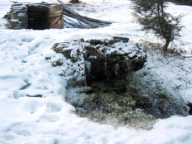 studánka U Ilčíků (2758) - březen 2010