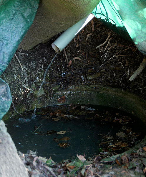 studánka Na Stráni (2762) - březen 2010