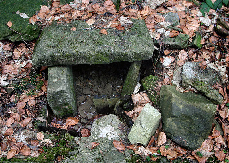 studánka Kaménka (2767) - březen 2010