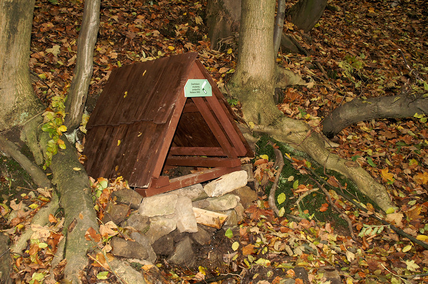 studánka Za vodú (2774) - březen 2010
