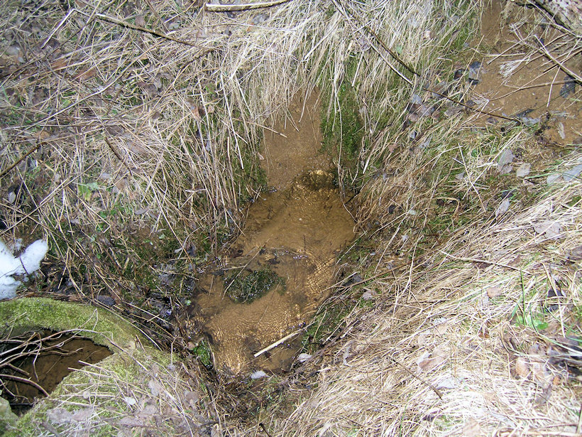studánka bez jména (2781) - březen 2010