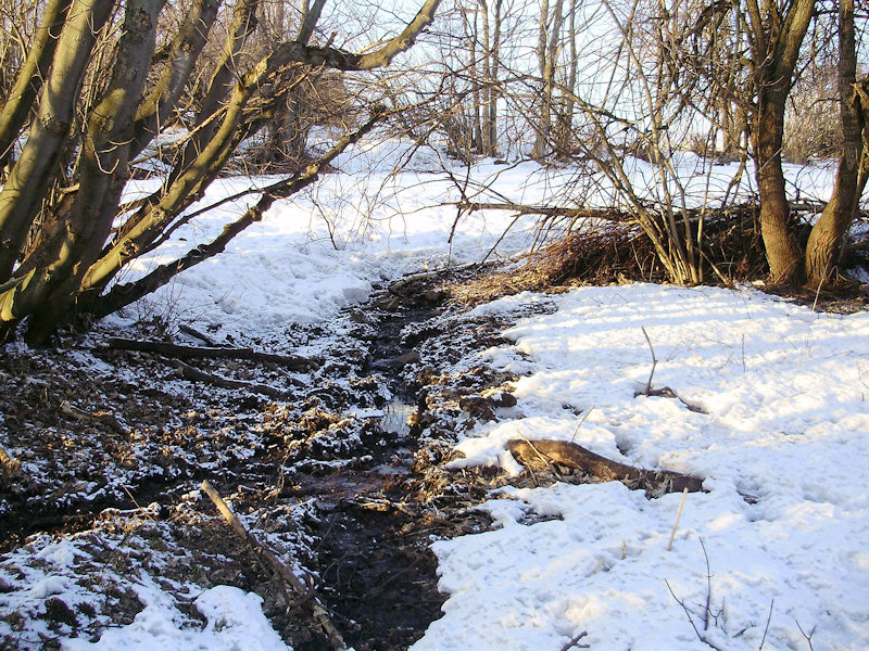 prameniště bez jména (2797) - březen 2010