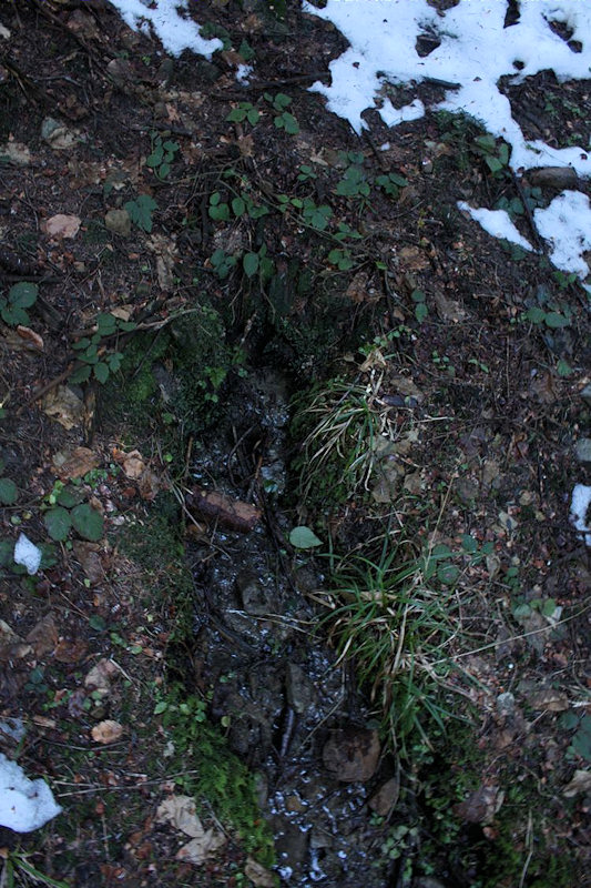 prameniště bez jména (2804) - březen 2010