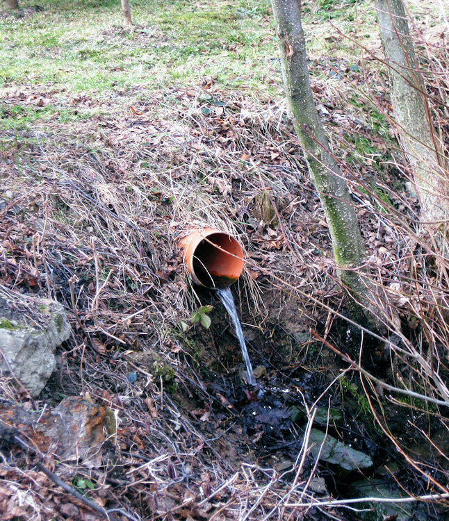 pramen Pod Opálenou (2824) - březen 2010