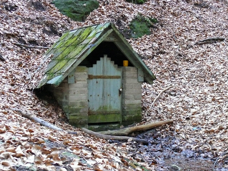 studánka Ostrov u Jedomělic (2826) - březen 2010