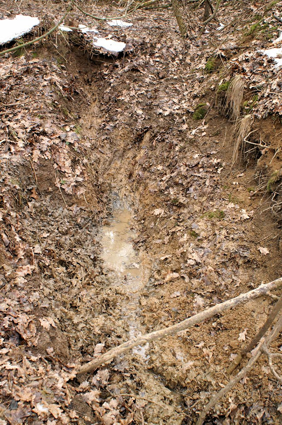 studánka Pod dubem (2828) - březen 2010